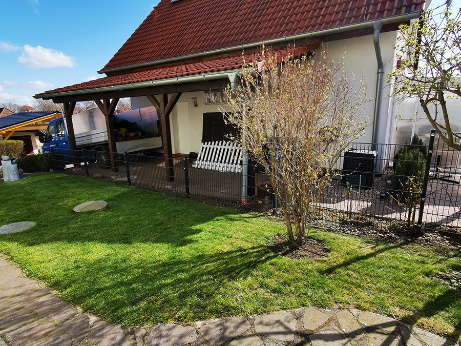 Baumpflanzung mit Setzling in Dessau