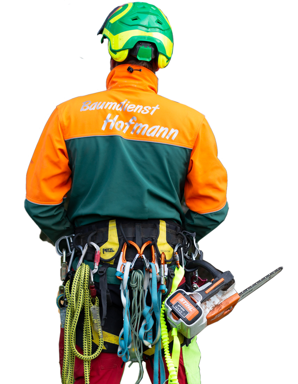 Baumdienst 24h, Notfall Baumdienst, Soforthilfe Baum, Sturmschaden Notdienst, Gefahrenbaum entfernen, 24 Stunden Baumpflege